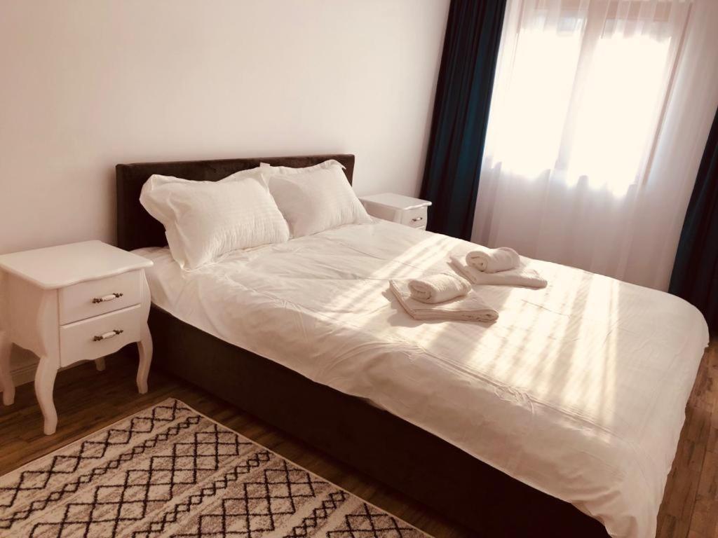 Appartement Narcisa à Piatra Neamţ Extérieur photo